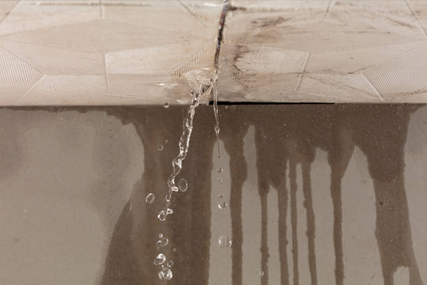 Professional Sewage Cleanup technician working in Lodge, SC